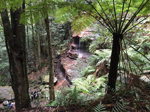 Fifth Ave Katoomba Retreat - Great Ocean Road Tourism 9