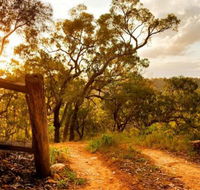 Kurrajong Trails and Cottages - Great Ocean Road Tourism