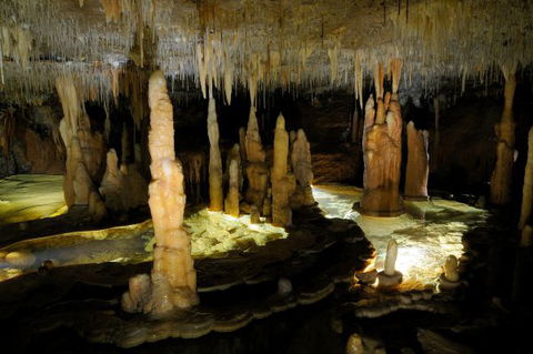Wilderness Retreats Buchan Caves Reserve - Great Ocean Road Tourism 8