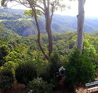 Mt Tamborine Motel - Great Ocean Road Tourism