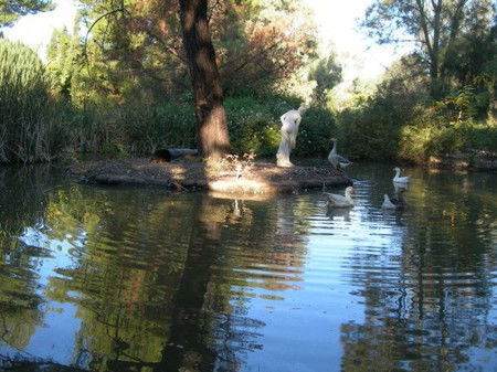 Lyndoch Hill Retreat - Great Ocean Road Tourism 2