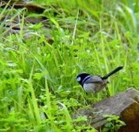 Morialta Bed And Breakfast - Great Ocean Road Tourism