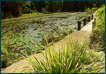 Aba Abode - Great Ocean Road Tourism 3