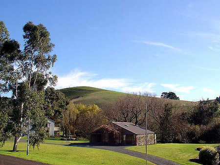 Bull Creek SA Great Ocean Road Tourism