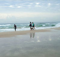 Alfies by the Sea - Great Ocean Road Tourism