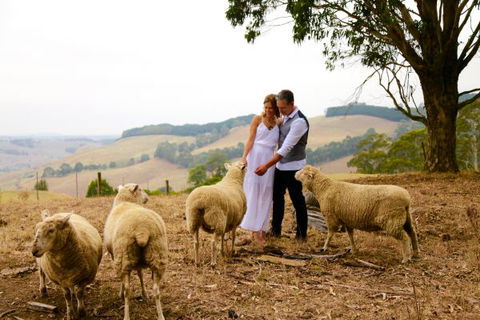 Halcyon Cottage Retreat - Self Contained Accommodation - Great Ocean Road Tourism 2