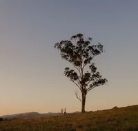 Faulls Ridge Winery - Great Ocean Road Tourism