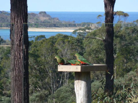 Indigo Couples Retreat Murrah Beach - Great Ocean Road Tourism 8