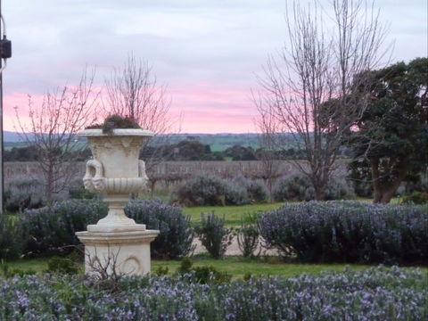 Angas Plains Wines Suites - Great Ocean Road Tourism 3