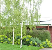 Birralee Cottage - Great Ocean Road Tourism