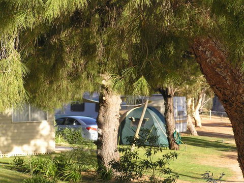 Barmera North Lake Caravan Park - Great Ocean Road Tourism 0