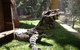 Beechworth Wildlife Stays - thumb 6