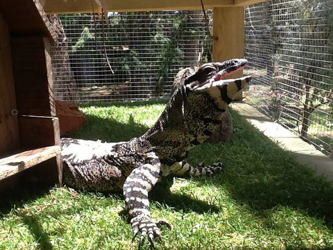 Beechworth Wildlife Stays - Great Ocean Road Tourism 6