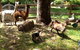 Beechworth Wildlife Stays - thumb 8