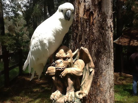 Beechworth Wildlife Stays - Great Ocean Road Tourism 9