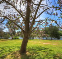 Breakaway Twin Rivers Caravan Park - Great Ocean Road Tourism