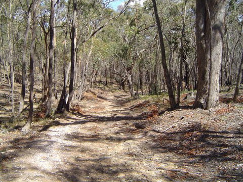 Bushmans Lookout - Great Ocean Road Tourism 3