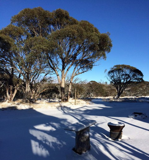 Cloud 9 Alpine Lodge - Great Ocean Road Tourism 9