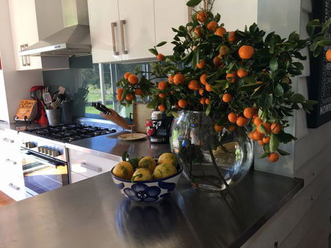 House Of Apples - Great Ocean Road Tourism 6