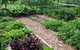 Jamberoo Valley Farm - thumb 3