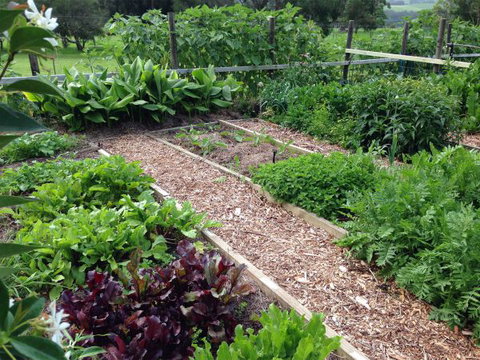 Jamberoo Valley Farm - Great Ocean Road Tourism 3