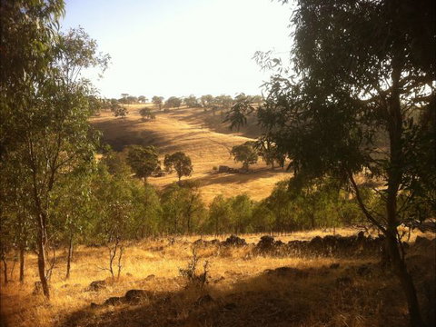Jonathan Art Centre - Jarramarrumba House - Great Ocean Road Tourism 6