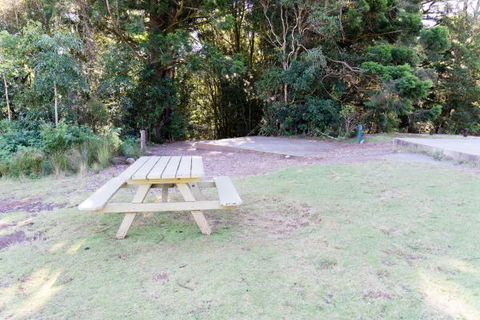 Lamington National Park Camping Ground - Great Ocean Road Tourism 2