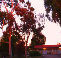 Murray Bridge Central Olympic Motel and Cottages - Great Ocean Road Tourism