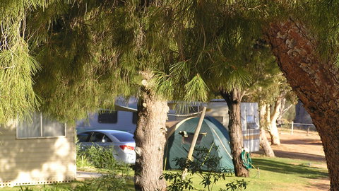 Barmera North Lake Caravan Park - Great Ocean Road Tourism 4