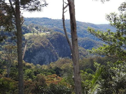 Mt Tamborine Motel - Great Ocean Road Tourism 0