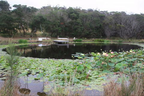 Murrah Luxury Holiday Accommodation - Great Ocean Road Tourism 8