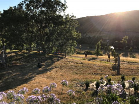 Shearer's Hill - Luxury Farm Stay - Great Ocean Road Tourism 9