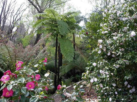 Adelaide Hills B&B Accommodation - Great Ocean Road Tourism 3