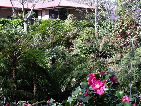 Adelaide Hills B&B Accommodation - Great Ocean Road Tourism 6