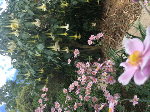Adelaide Hills B&B Accommodation - Great Ocean Road Tourism 7