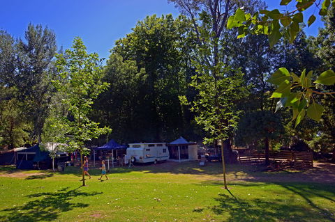 Ardern's Caravan Park Myrtleford - Great Ocean Road Tourism 0