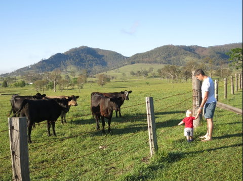 Barrington Hideaway- River Cottages - Great Ocean Road Tourism 6