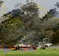 Boronia Farm - Great Ocean Road Tourism