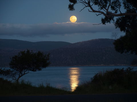 Burilda Waters - Great Ocean Road Tourism 4