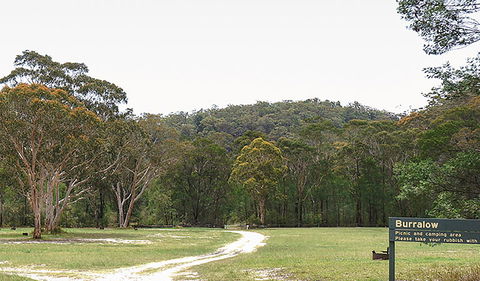 Burralow Creek Campground And Picnic Area - Great Ocean Road Tourism 1