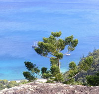 Crayfish Beach Hook Island