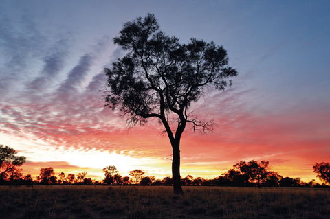 Cunnamulla Tourist Park - Great Ocean Road Tourism 3