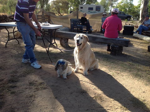 Cunnamulla Tourist Park - Great Ocean Road Tourism 4