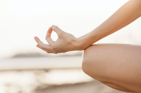 Elysian Retreat - Great Ocean Road Tourism 4