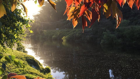 Forth River Cottage - Great Ocean Road Tourism 4