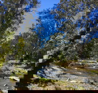 Highfield Farm and Woodland Bush Campsites - Great Ocean Road Tourism