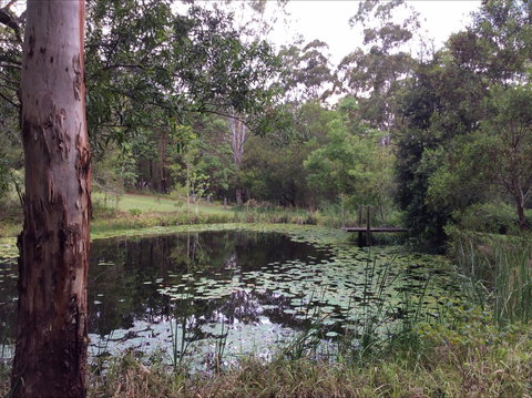 Maleny Country Cottages - Great Ocean Road Tourism 3