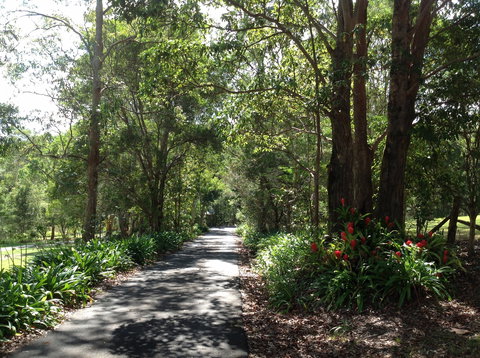 Maleny Country Cottages - Great Ocean Road Tourism 8