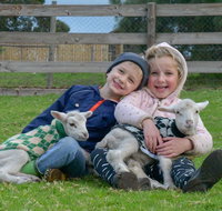 Narnu  Farm Farm stay/ School Camp - Great Ocean Road Tourism