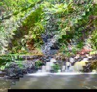 O'Reilly's Rainforest Retreat - Great Ocean Road Tourism